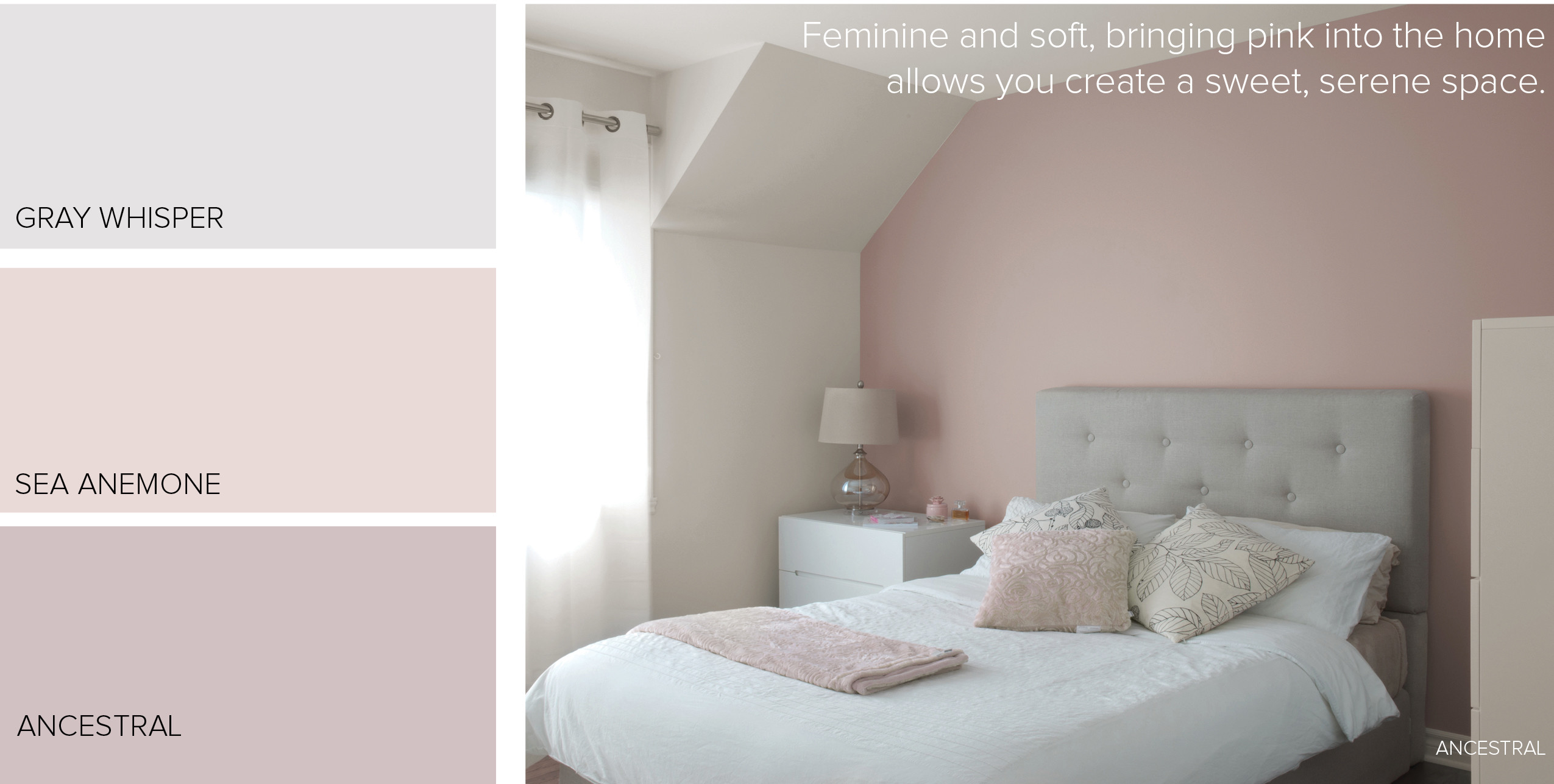 The Best Pink Paint Colors - Paintzen